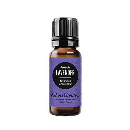 Edens Garden Französisches Lavendel Bio-Öl – 100 % reines, unverdünntes therapeutisches Aromaöl für Diffuser, Gesicht, Wäsche, kindersicher – 10 ml