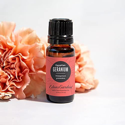 Edens Garden Geranien-Ägyptisches Bio-Öl – 100% reines Premium-Öl, unverdünnt, natürlich, therapeutisch, für Diffuser, Haut, Gesicht, Haare 10 ml (0,33 fl oz)