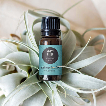 Edens Garden Stress Relief Ätherisches Öl Blend - 100% rein, premium, unverdünnt, natürlich, therapeutisch, Aromatherapie, ideal für Diffuser, Haut, Kerzen, Luftbefeuchter 10 ml (0,33 fl oz)