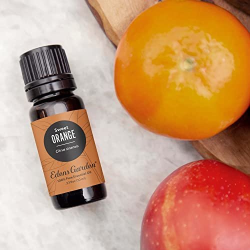 Edens Garden Süßes Orangenöl – 100 % reines, unverdünntes, natürliches therapeutisches Aromaöl – 10 ml