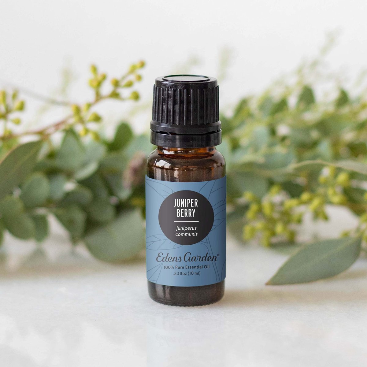 Edens Garden Wacholderbeere Bio Ätherisches Öl - 100% Rein, Premium, Unverdünnt, Naturrein, Therapeutisch, Aromatherapie, Ideal für Diffuser, Kerzen, Haare, Kindersicher, 10 ml (0,33 fl oz)