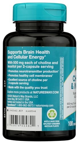 Nature's Way Cholin & Inositol, Gehirngesundheit*, Zelluläre Energie*, 1.000 mg pro Portion, 100 Kapseln