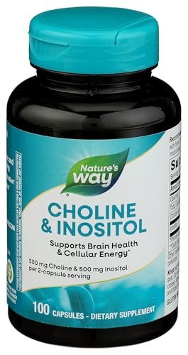 Nature's Way Cholin & Inositol, Gehirngesundheit*, Zelluläre Energie*, 1.000 mg pro Portion, 100 Kapseln