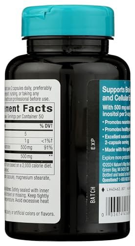 Nature's Way Cholin & Inositol, Gehirngesundheit*, Zelluläre Energie*, 1.000 mg pro Portion, 100 Kapseln