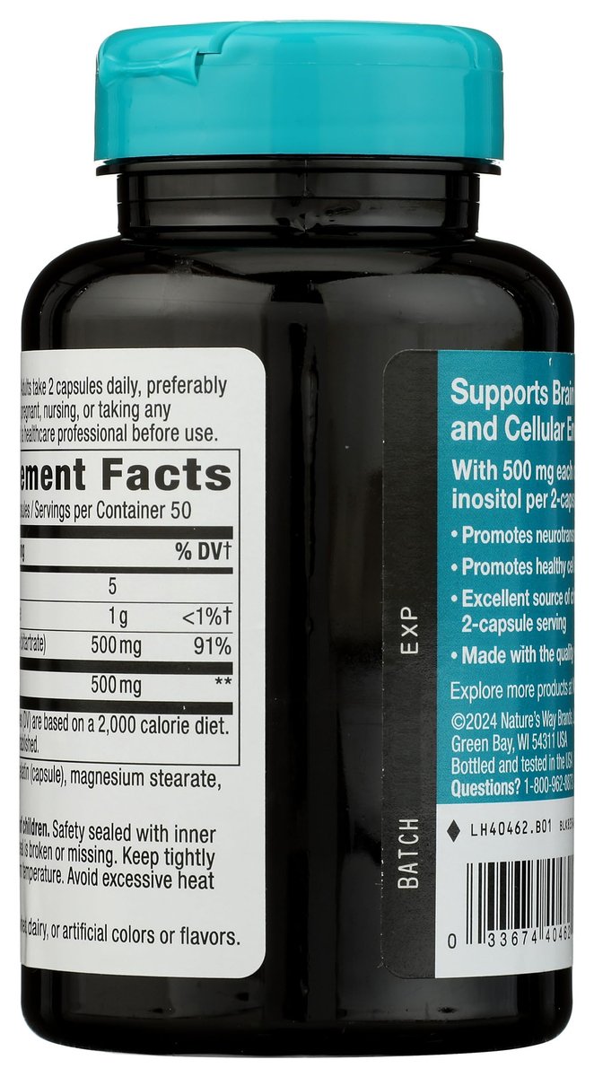 Nature's Way Cholin & Inositol, Gehirngesundheit*, Zelluläre Energie*, 1.000 mg pro Portion, 100 Kapseln