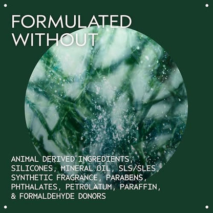 Aveda Botanical Kinetics Toning Mist | Erfrischendes Gesichtswasser für normale bis fettige Haut | Hydratisiert und balanciert die Haut, 150 ml
