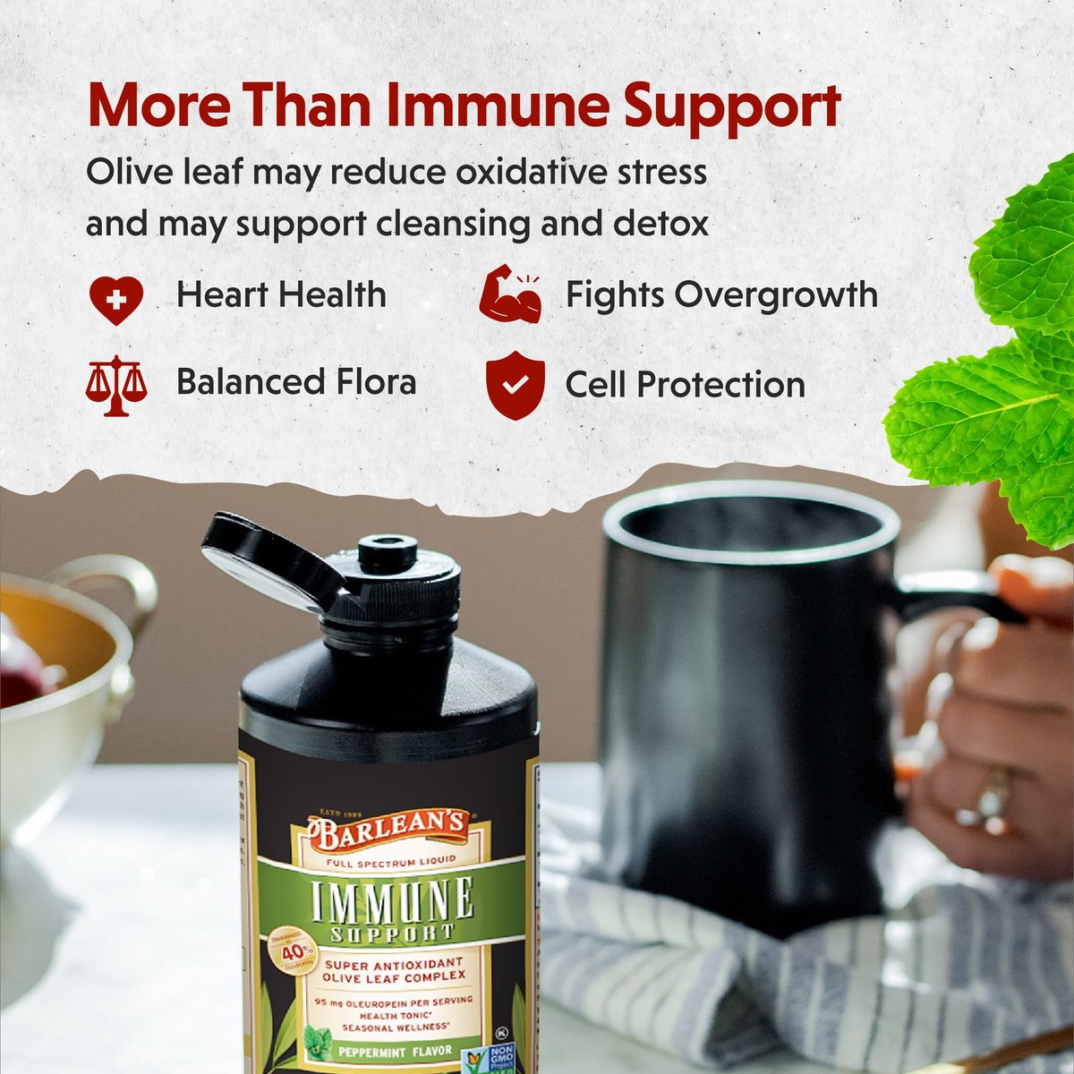 Barlean's Pfefferminz-Olivenblatt-Komplex – Flüssiges Immunsystem-Supplement mit 95 mg Oleuropein-Antioxidantien, 240 ml