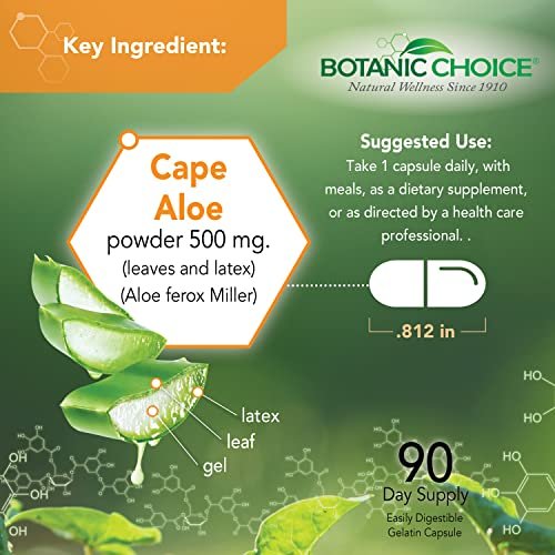 Aloe Vera Blatt & Latex – 500 mg, 90 Kapseln | Unterstützt Verdauung, Leber & Magen | Glutenfrei, Non-GMO