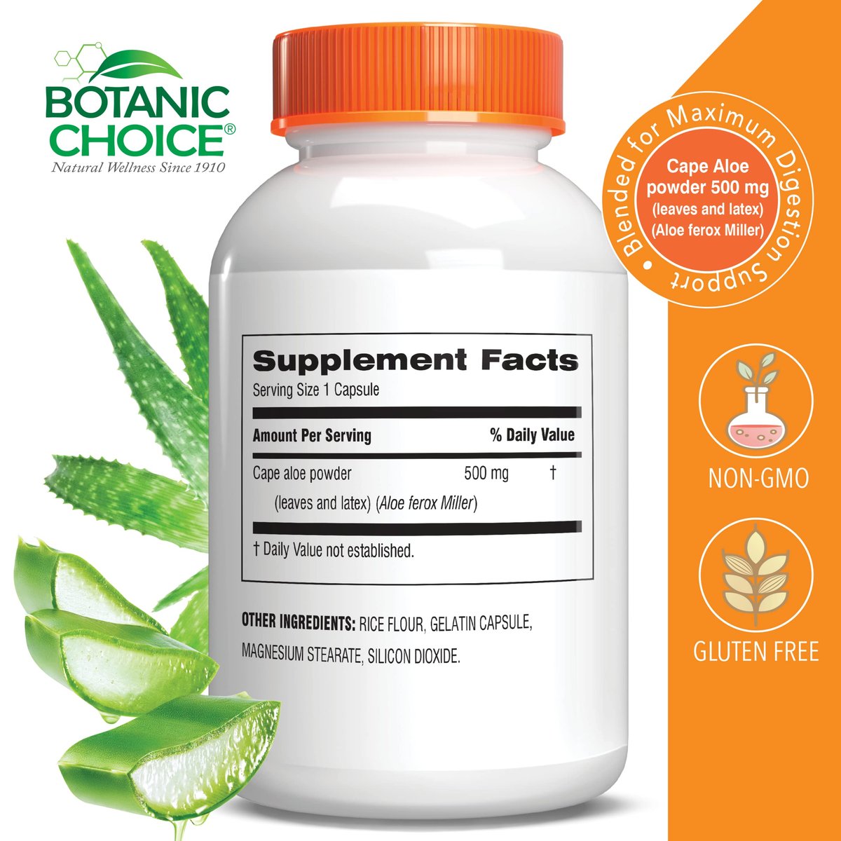 Aloe Vera Blatt & Latex – 500 mg, 90 Kapseln | Unterstützt Verdauung, Leber & Magen | Glutenfrei, Non-GMO