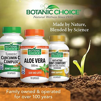 Aloe Vera Blatt & Latex – 500 mg, 90 Kapseln | Unterstützt Verdauung, Leber & Magen | Glutenfrei, Non-GMO