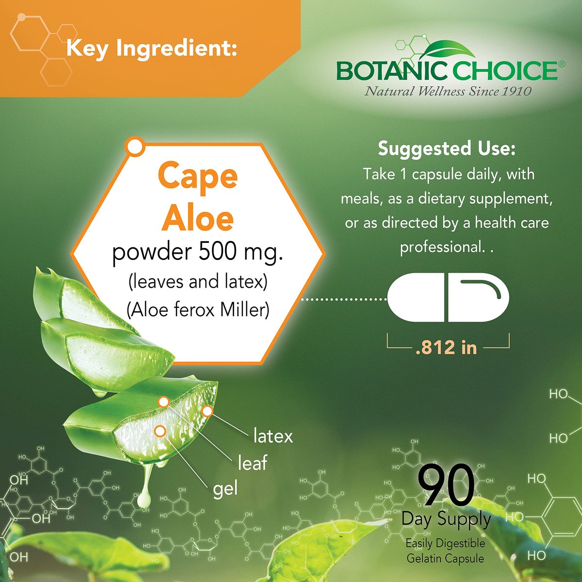 Aloe Vera Blatt & Latex – 500 mg, 90 Kapseln | Unterstützt Verdauung, Leber & Magen | Glutenfrei, Non-GMO