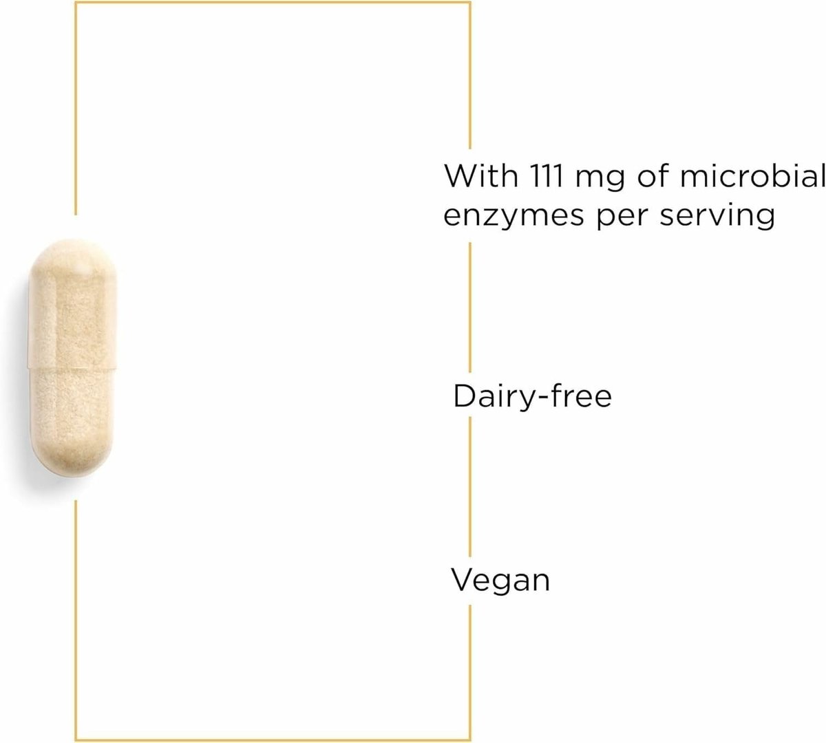 Integrative Therapeutics Lipase Concentrate-HP – Verdauungsenzym für die Fettverdauung, 90 Kapseln (45 Portionen)