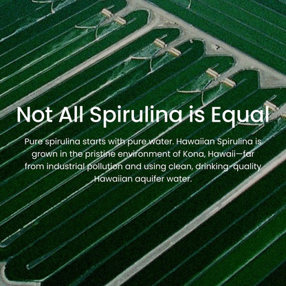 Nutrex Hawaii Reines Hawaiianisches Spirulina-Pulver – Veganes Superfood aus Kona, Nicht-GVO, Immununterstützung & Zellenergie, 142 g