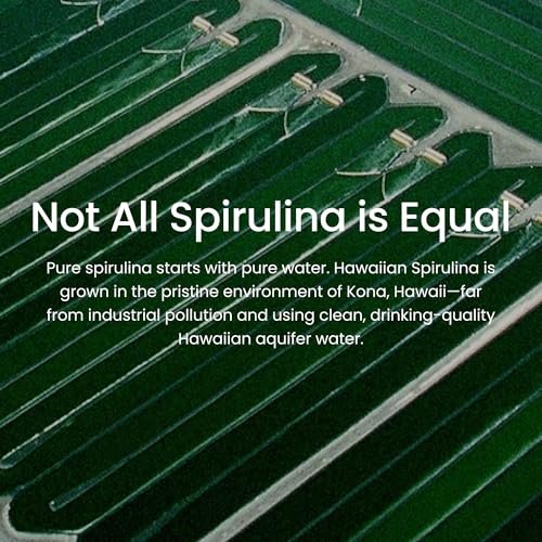 Nutrex Hawaii Reines Hawaiianisches Spirulina-Pulver – Veganes Superfood aus Kona, Nicht-GVO, Immununterstützung & Zellenergie, 142 g