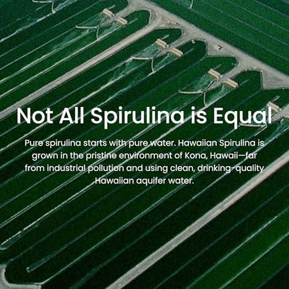 Nutrex Hawaii Reines Hawaiianisches Spirulina-Pulver – Veganes Superfood aus Kona, Nicht-GVO, Immununterstützung & Zellenergie, 142 g