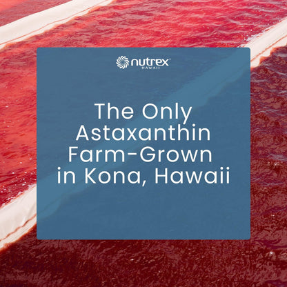 Nutrex Hawaii BioAstin Hawaiian Astaxanthin – 4 mg, 60 Softgels – Antioxidant für Haut & Immunsystem – aus Mikroalgen aus Kona, Hawaii – Non-GMO & Glutenfrei