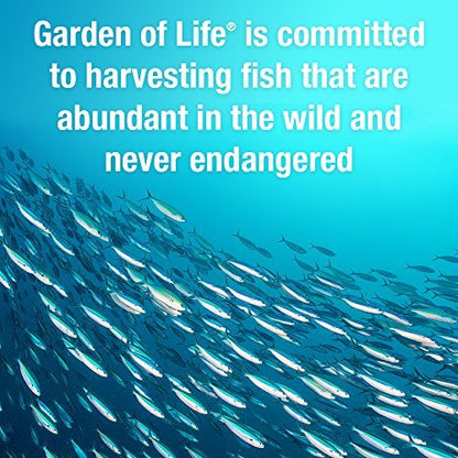 Garden of Life Oceans Mom Pränatales Fischöl DHA, Omega-3 Nahrungsergänzungsmittel - Erdbeer, 350 mg pränatales DHA für die Schwangerschaft, Unterstützung für Mama, Babys Gehirn- und Augenentwicklung, 30 kleine Softgels