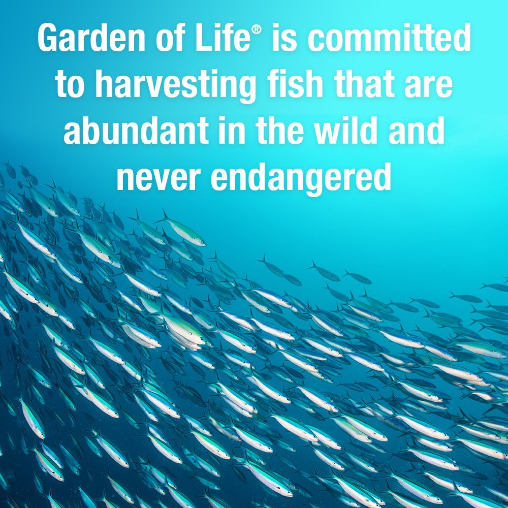 Garden of Life Oceans Mom Pränatales Fischöl DHA, Omega-3 Nahrungsergänzungsmittel - Erdbeer, 350 mg pränatales DHA für die Schwangerschaft, Unterstützung für Mama, Babys Gehirn- und Augenentwicklung, 30 kleine Softgels