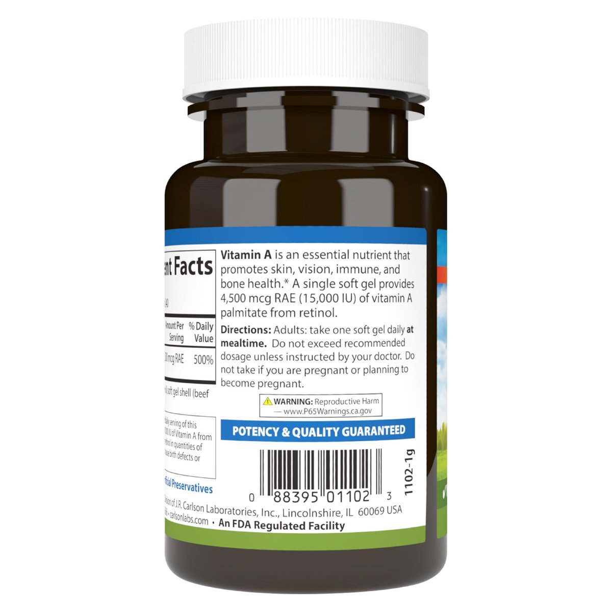 Carlson Vitamin A 15.000 IE (4500 µg RAE) Palmitat – 240 Softgels für Sehkraft, gesunde Haut & Immunsystem