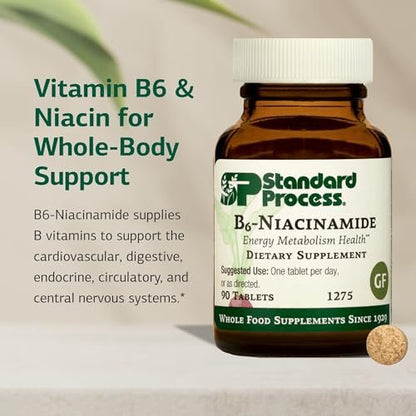 Standard Process B6-Niacinamid – Unterstützt Energie-Stoffwechsel & Herzgesundheit – Fördert Verdauungs- & Blutkreislaufsysteme – Glutenfrei, laktosefrei & sojafrei – 90 Tabletten (90 Portionen)