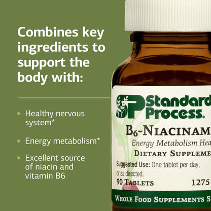 Standard Process B6-Niacinamid – Unterstützt Energie-Stoffwechsel & Herzgesundheit – Fördert Verdauungs- & Blutkreislaufsysteme – Glutenfrei, laktosefrei & sojafrei – 90 Tabletten (90 Portionen)