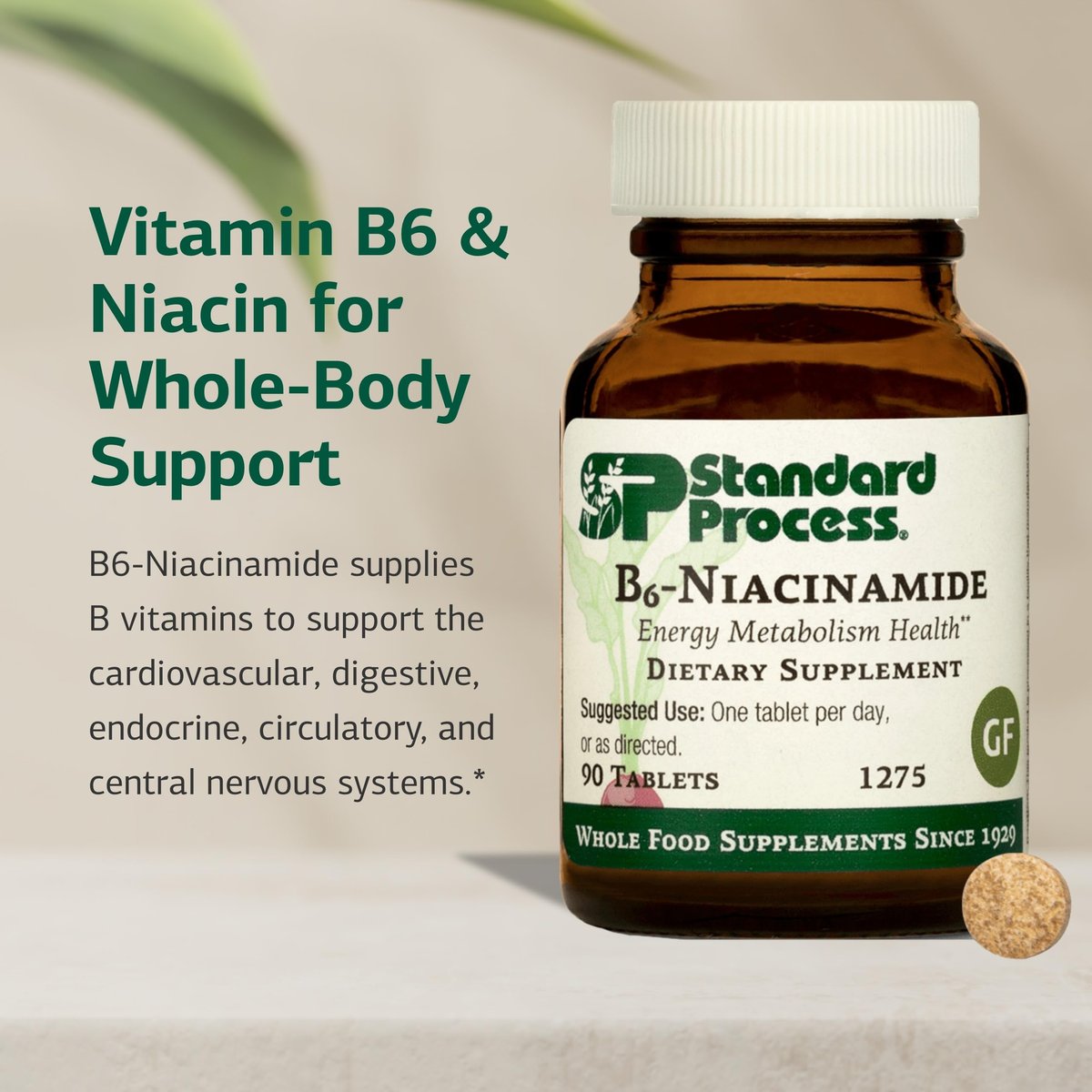 Standard Process B6-Niacinamid – Unterstützt Energie-Stoffwechsel & Herzgesundheit – Fördert Verdauungs- & Blutkreislaufsysteme – Glutenfrei, laktosefrei & sojafrei – 90 Tabletten (90 Portionen)