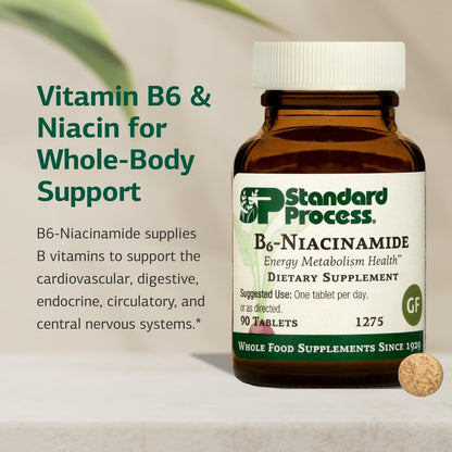 Standard Process B6-Niacinamid – Unterstützt Energie-Stoffwechsel & Herzgesundheit – Fördert Verdauungs- & Blutkreislaufsysteme – Glutenfrei, laktosefrei & sojafrei – 90 Tabletten (90 Portionen)