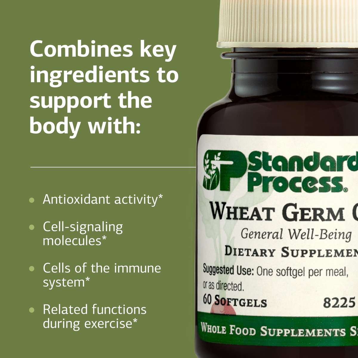Standard Process Weizenkeimöl - Unterstützt Antioxidantienaktivität & Immunsystem - Fördert Bewegungsaktivität, Körpergesundheit & Zellfunktion - Glutenfrei, laktosefrei & sojafrei - 60 Softgels