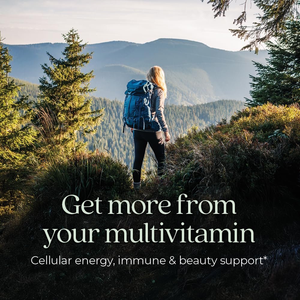 New Chapter Frauen Multivitamin – Eisen, B6, B12, Biotin für Haarwachstum, D3, Vitamin C, Zink für Immun- & Stressunterstützung, Sanft auf nüchternen Magen, 1 Tablette täglich, Nicht-GVO, Glutenfrei, 18+, 48 Tabletten