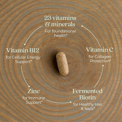 New Chapter Frauen Multivitamin – Eisen, B6, B12, Biotin für Haarwachstum, D3, Vitamin C, Zink für Immun- & Stressunterstützung, Sanft auf nüchternen Magen, 1 Tablette täglich, Nicht-GVO, Glutenfrei, 18+, 48 Tabletten