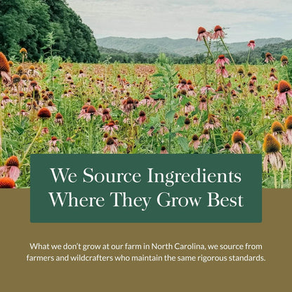 Gaia Herbs Maca Root – Koffeinfreies Energiepräparat – Traditionell zur Unterstützung von Energie und Ausdauer* – Aus Bio-Maca-Wurzel (Lepidium meyenii) – 60 vegane Kapseln (60 Portionen)