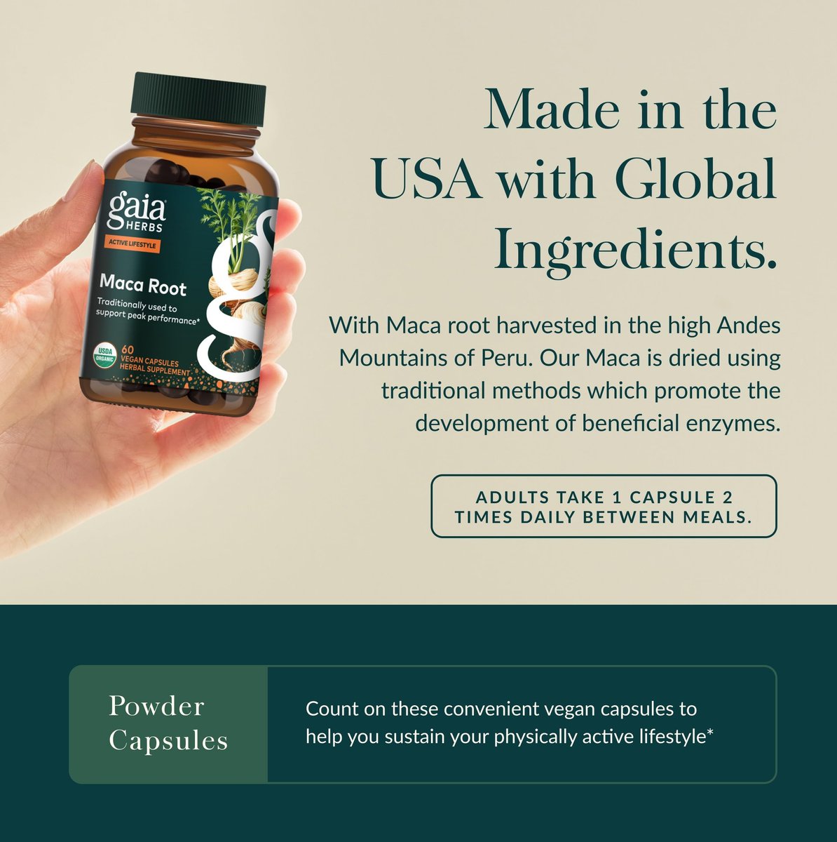 Gaia Herbs Maca Root – Koffeinfreies Energiepräparat – Traditionell zur Unterstützung von Energie und Ausdauer* – Aus Bio-Maca-Wurzel (Lepidium meyenii) – 60 vegane Kapseln (60 Portionen)