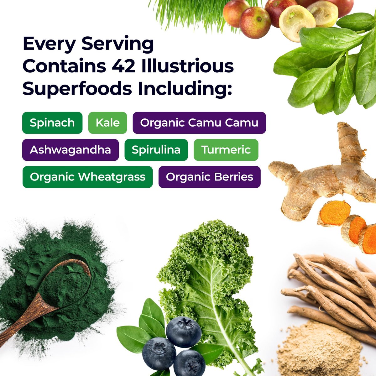 Paradise Herbs ORAC Energy Superfood Kapseln – 42+ Bio & Wildkräuter, Probiotika & Enzyme, 120 Kapseln