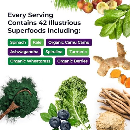 Paradise Herbs ORAC Energy Superfood Kapseln – 42+ Bio & Wildkräuter, Probiotika & Enzyme, 120 Kapseln