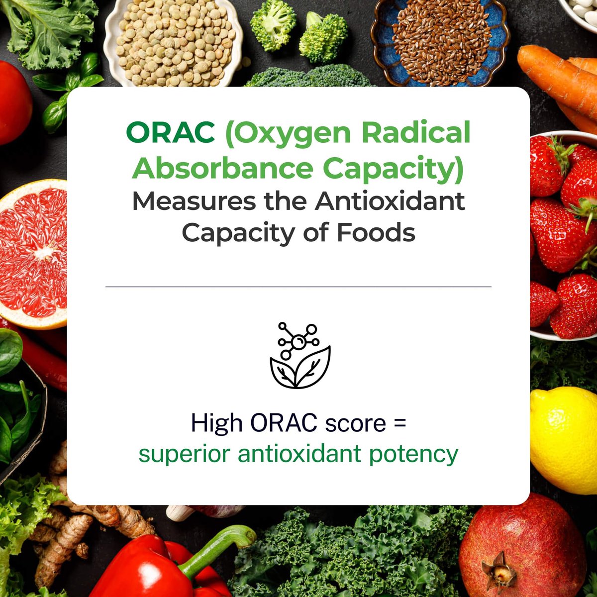 Paradise Herbs ORAC Energy Superfood Kapseln – 42+ Bio & Wildkräuter, Probiotika & Enzyme, 120 Kapseln