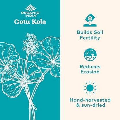 ORGANIC INDIA Gotu Kola Kräuterergänzung – Adaptogen für Gehirn & Nervensystem, vegan, glutenfrei, koscher, USDA Bio, Nicht-GVO, beruhigend, geistige Klarheit – 90 Kapseln