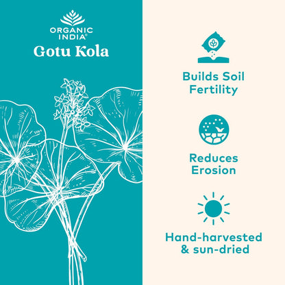 ORGANIC INDIA Gotu Kola Kräuterergänzung – Adaptogen für Gehirn & Nervensystem, vegan, glutenfrei, koscher, USDA Bio, Nicht-GVO, beruhigend, geistige Klarheit – 90 Kapseln