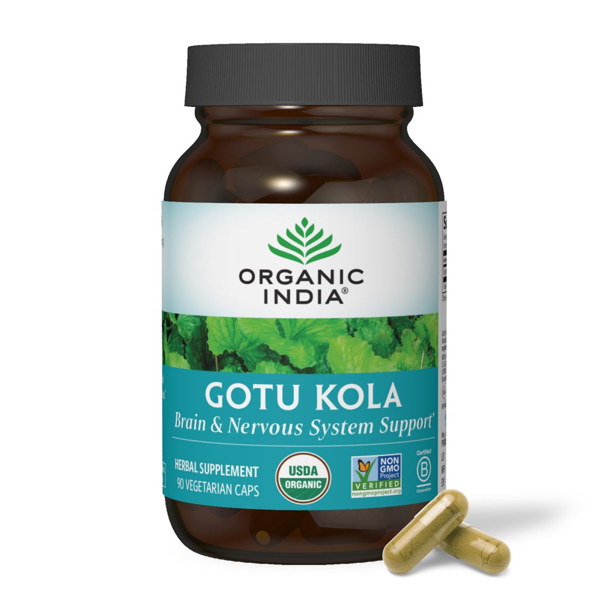 ORGANIC INDIA Gotu Kola Kräuterergänzung – Adaptogen für Gehirn & Nervensystem, vegan, glutenfrei, koscher, USDA Bio, Nicht-GVO, beruhigend, geistige Klarheit – 90 Kapseln