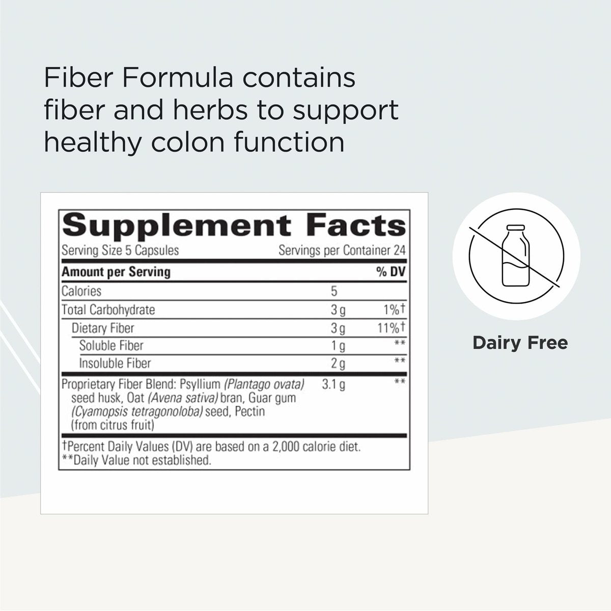 Integrative Therapeutics Fiber Formula – Ballaststoffpräparat für gesunde Verdauung und Darmflora – 120 Kapseln (24 Portionen) – vegan & laktosefrei