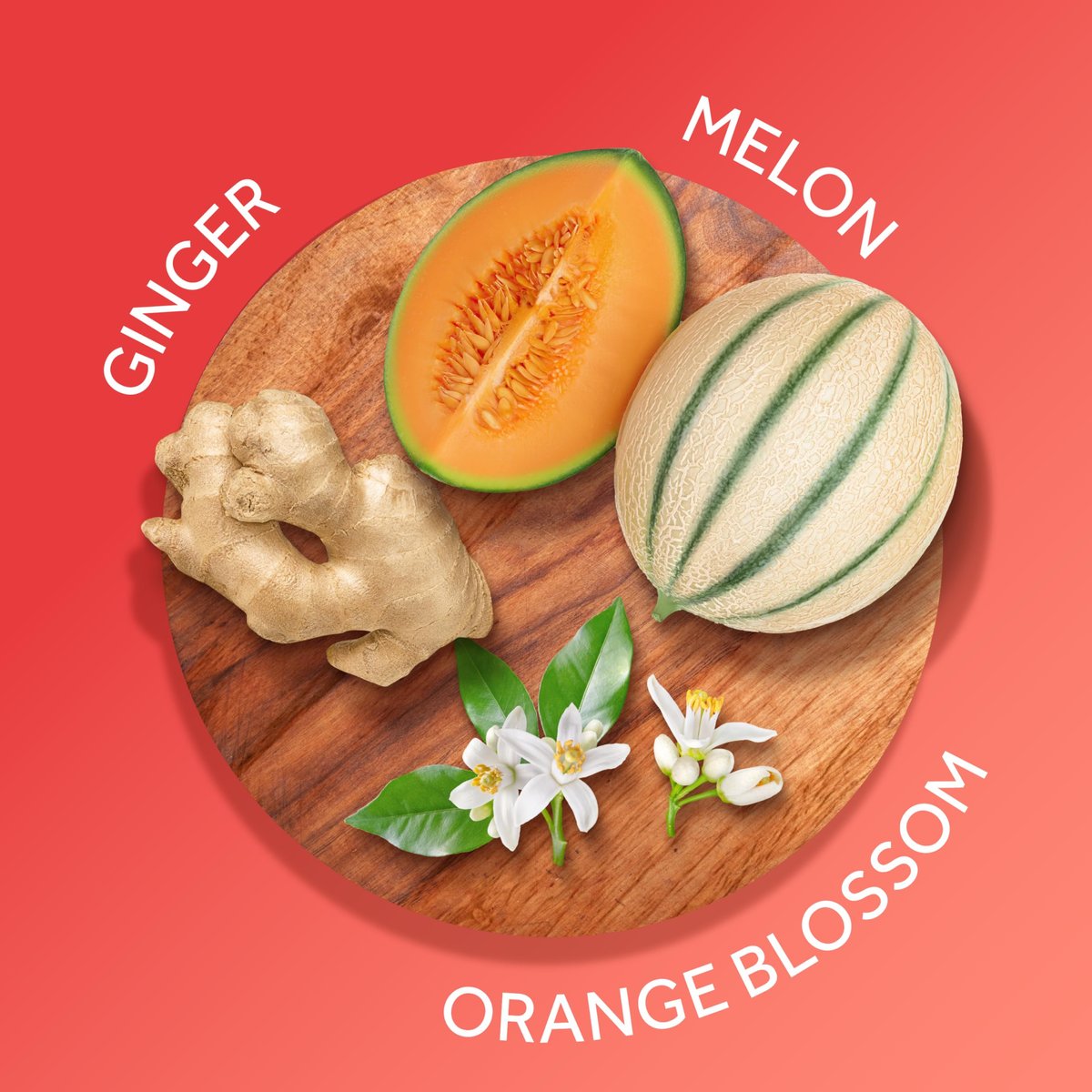 Calgon Hawaiian Ginger Hautpflegende Körpercreme für Frauen, 237 ml