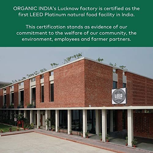 ORGANIC INDIA Leber-Nieren-Kräuterergänzung – Entgiften & Regenerieren, Unterstützt gesunde Leber- und Nierenfunktion, Vegan, Glutenfrei, Koscher, USDA Bio, Non-GMO – 90 Kapseln