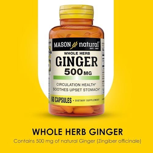 MASON NATURAL Ganze Kräuter-Ingwer 500 mg, 2-Monats-Versorgung, natürliches Kräuterergänzungsmittel, 60 Kapseln