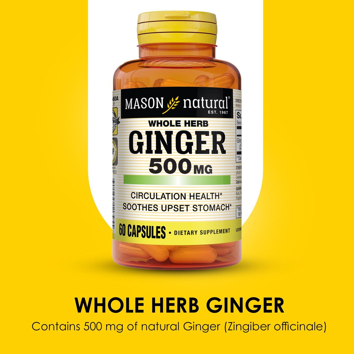 MASON NATURAL Ganze Kräuter-Ingwer 500 mg, 2-Monats-Versorgung, natürliches Kräuterergänzungsmittel, 60 Kapseln