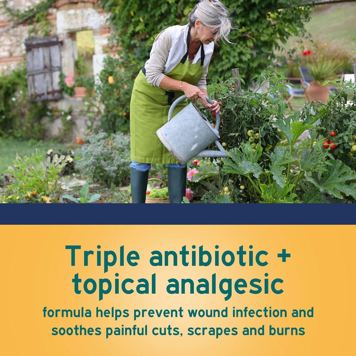 Neosporin + Maximalstarke Schmerzlinderung Dual-Wirkung Salbe, Topisches Antibiotikum und Analgetikum für 24-Stunden-Infektionsschutz mit Bacitracin Zink & Pramoxin HCl, 0,5 Unze
