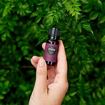 Edens Garden Geranien-Rosen Ätherisches Öl – 100 % reine Premium-Qualität, unverdünnt, natürlich, therapeutisch, für Diffuser, Gesicht, Kerzen, Haare 10 ml