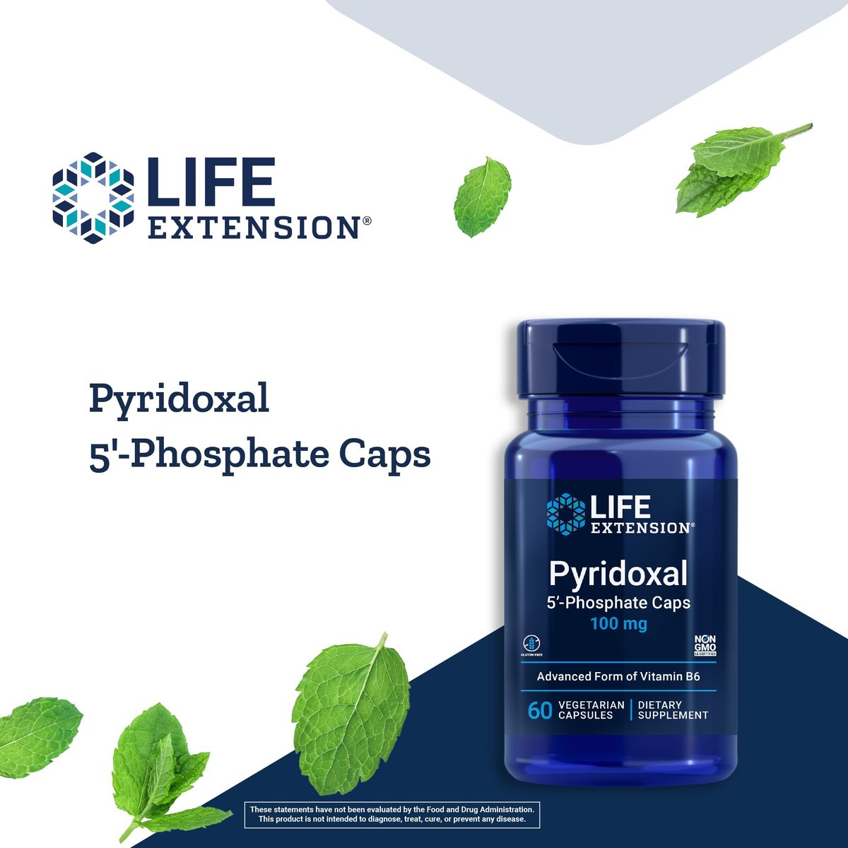 Life Extension Pyridoxal 5'-Phosphat Kapseln – Vitamin B6, 100 mg, bioaktives B6 für Herz-Kreislauf-, Nieren- und Nervengesundheit – glutenfrei, nicht-GVO, vegetarisch – 60 vegetarische Kapseln