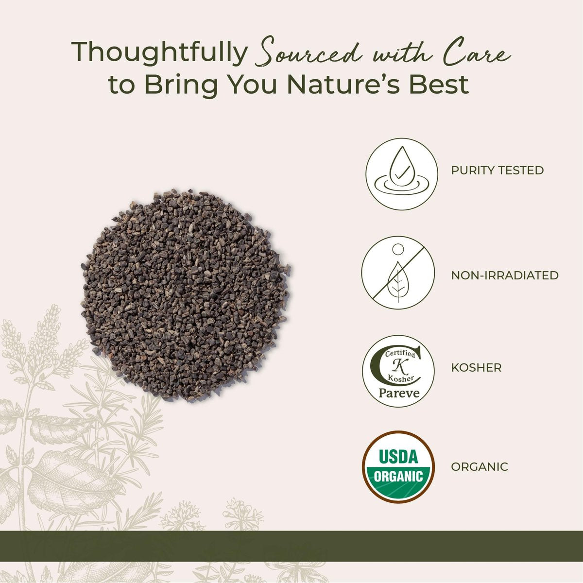 Starwest Botanicals Bio-Wurzelstock der Schwarzen Schlangenwurzel - Getrocknetes loses Kraut für Tee, geschnitten & gesiebt, zertifiziert koscher, nicht gentechnisch verändert - 4 Unzen Beutel