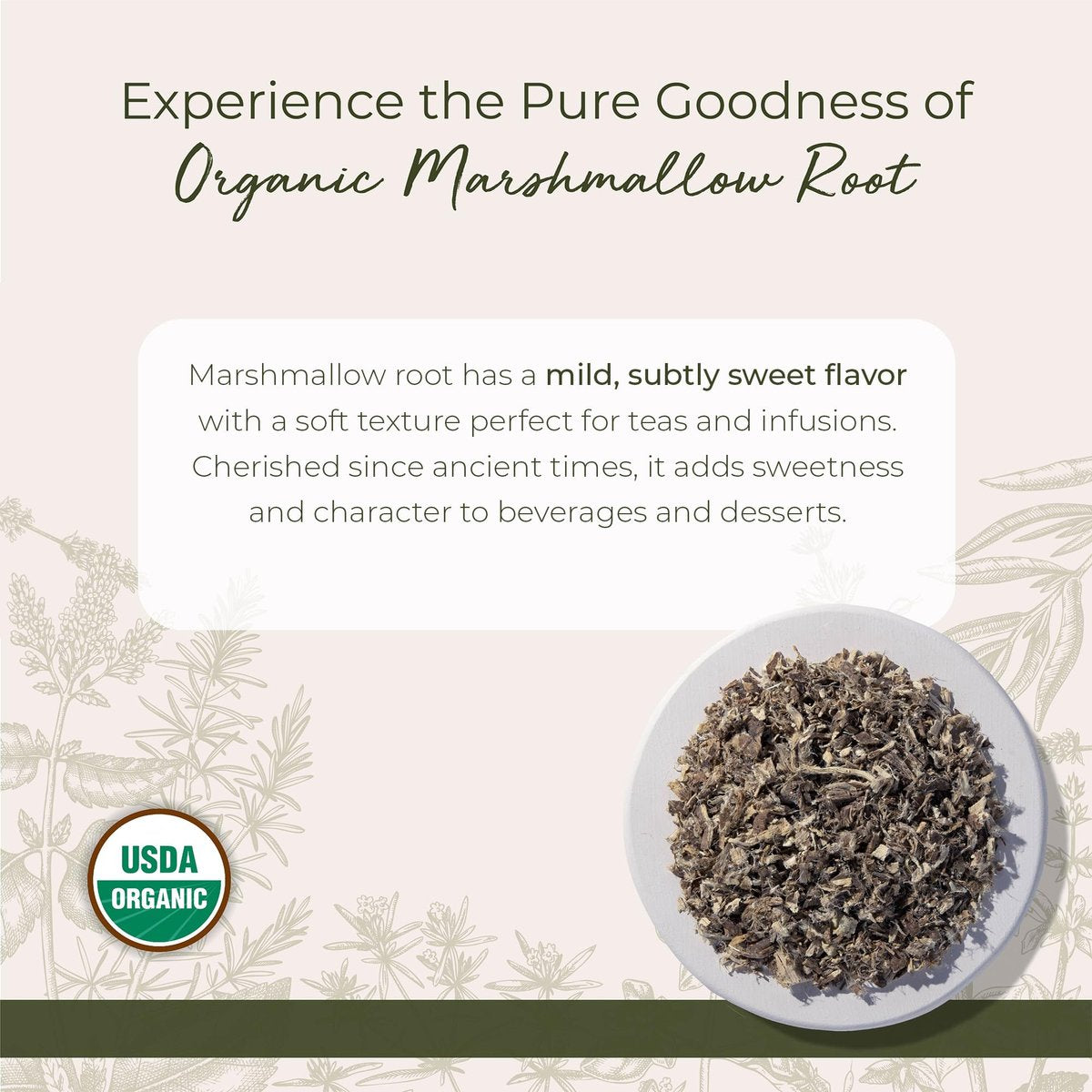 Starwest Botanicals Bio Eibischwurzel - Getrocknetes Kraut für Tee, lose Blattwurzel, geschnitten & gesiebt, zertifiziert koscher, nicht gentechnisch verändert - 113 g Beutel