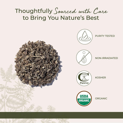 Starwest Botanicals Bio Eibischwurzel - Getrocknetes Kraut für Tee, lose Blattwurzel, geschnitten & gesiebt, zertifiziert koscher, nicht gentechnisch verändert - 113 g Beutel