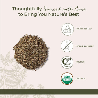 Starwest Botanicals Bio getrocknetes Johanniskraut - lose Blätter für Tee, aus Johanniskrautblüten, geschnitten & gesiebt, zertifiziert koscher, nicht gentechnisch verändert - 113 g Beutel
